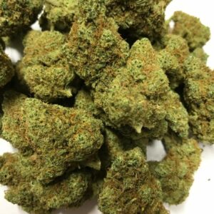 10g Tropical Tangie indoor Promo !!!
10g = 50€