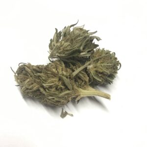Peach outdoor