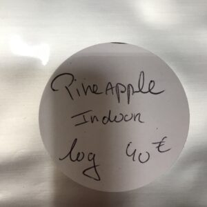 10g Pineapple Indoor Promo!!
10g = 40€