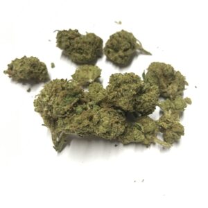 Blueberry -small buds-  Greenhouse