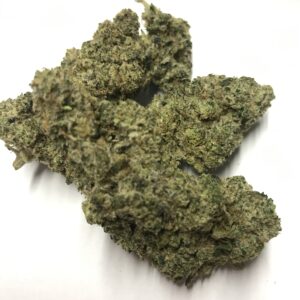 Skunk Legend Indoor